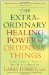 The Extraordinary Healing Powers of Things