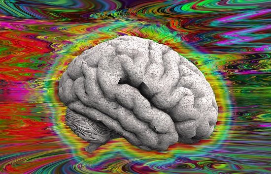 Psychedelic Brain