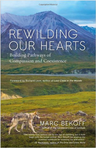 Rewilding Our Hearts: Building Pathways of Compassion and Coexistence by Marc Bekoff