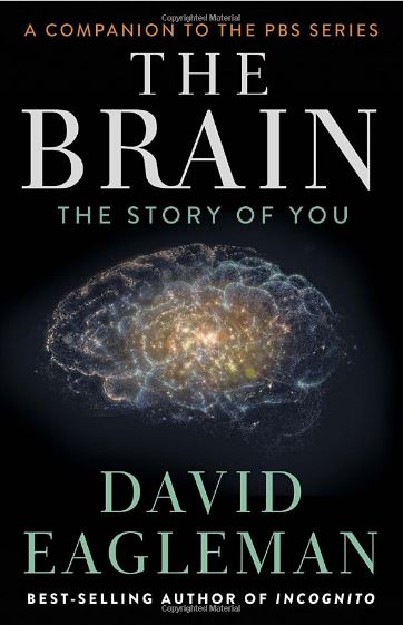 The Brain: The Story of You by David Eagleman