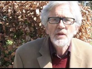 Introduction to the SMN