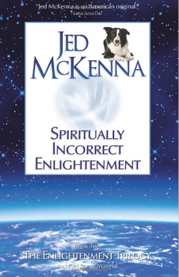 Spiritually Incorrect Enlightenment: Book Two of The Enlightenment Trilogy by Jed McKenna