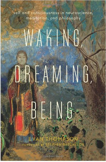 Waking, Dreaming, Being - Evan Ziewe