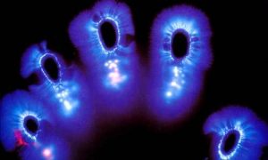 Kirlian photo
