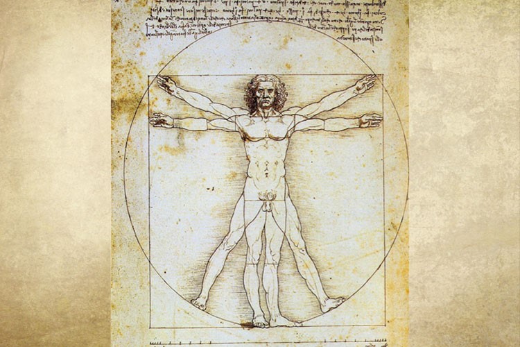 Vitruvian Man