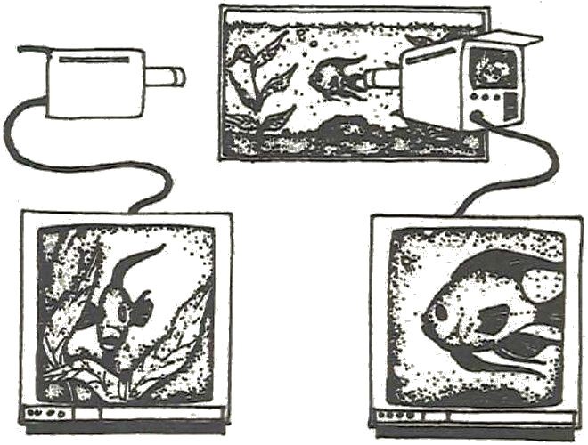 Observer effect