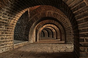 Vaulted Cellar
