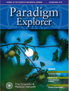 Paradigm Explorer 2018 -1