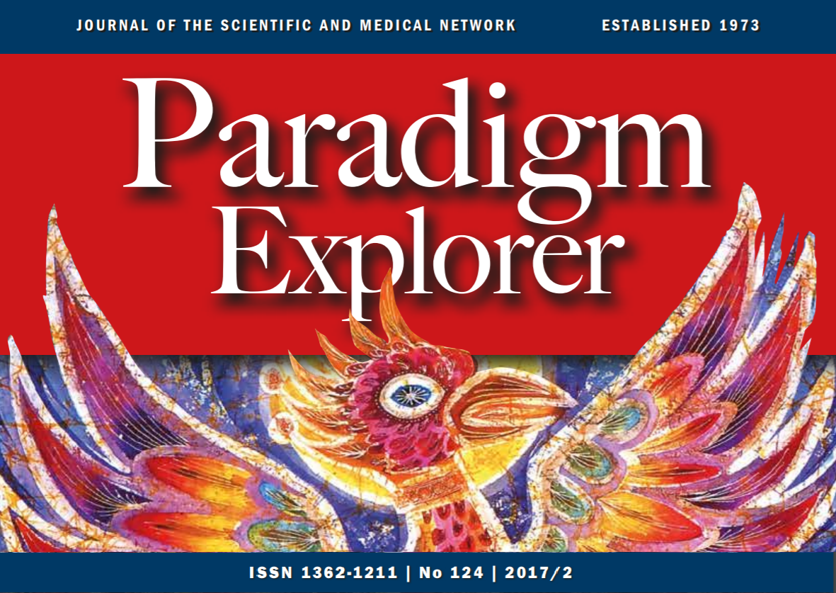 Paradigm Explorer 2017 - 2 Preview