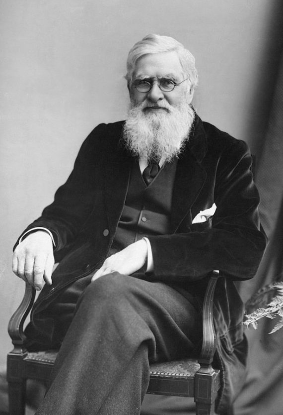 Alfred Russel Wallace c.1895
